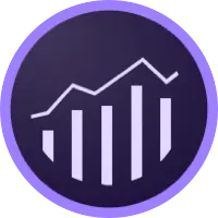 Adobe Analytics Services