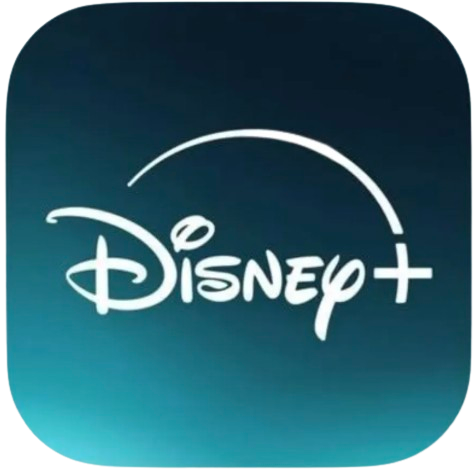 Disney Plus Services