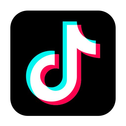 TikTok Services