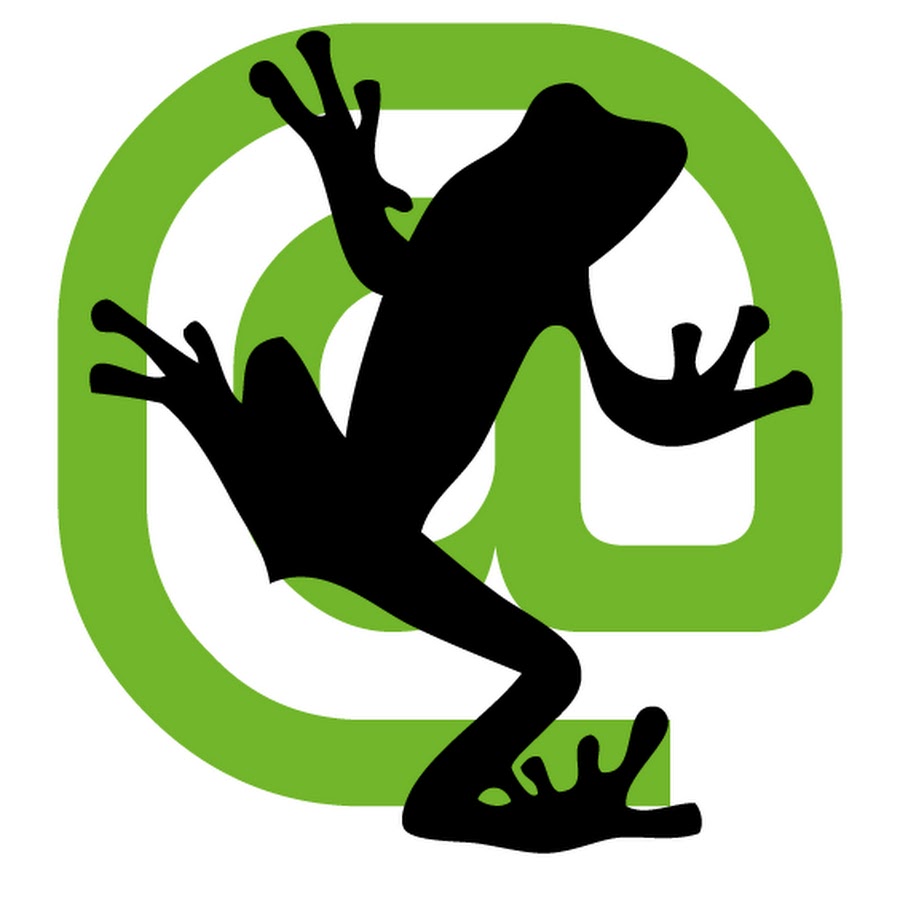 Screaming Frog SEO Services