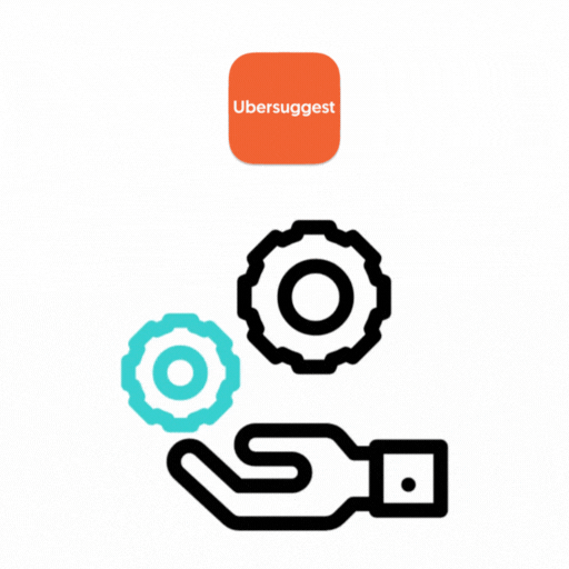 Ubersuggest SEO Campaign Management Services