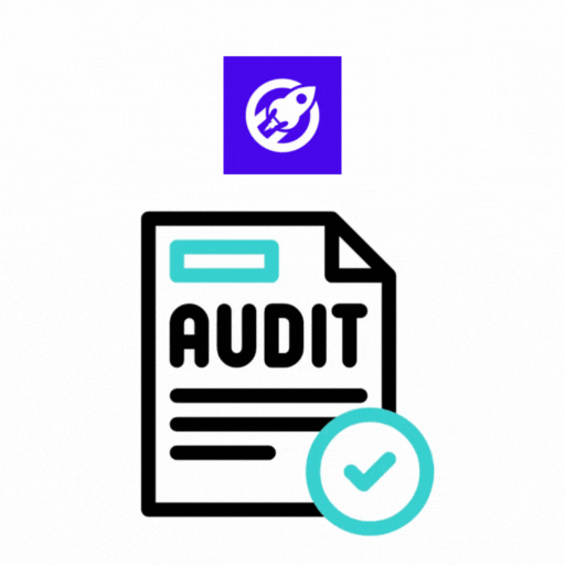 Booster SEO Audit & Initial Setup Services