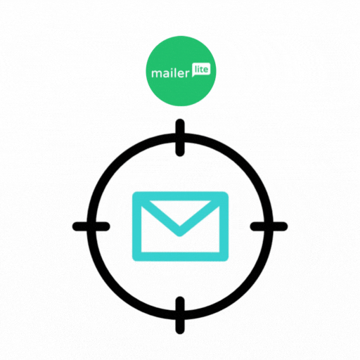 MailerLite Email Campaign Management Services