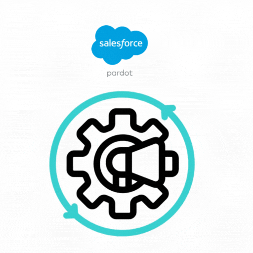 Salesforce Pardot Automation & Workflow Setup