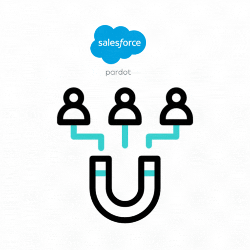 Salesforce Pardot Lead Management & Scoring Optimization