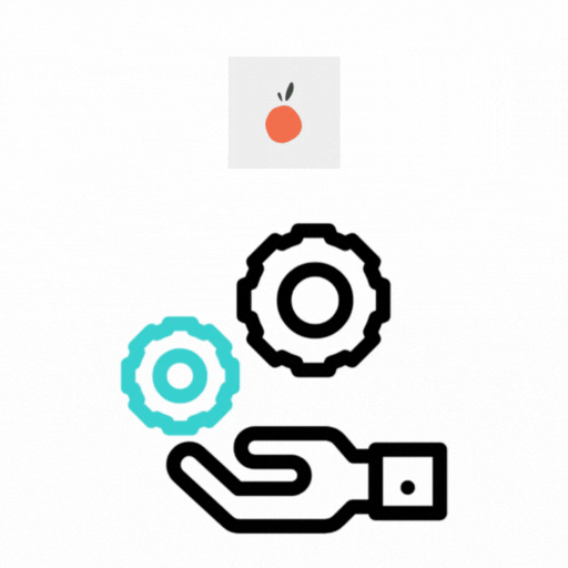 Lucky Orange Setup & Implementation Services