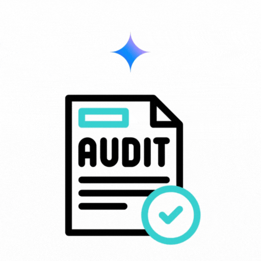 Gemini Audit & Optimization Services