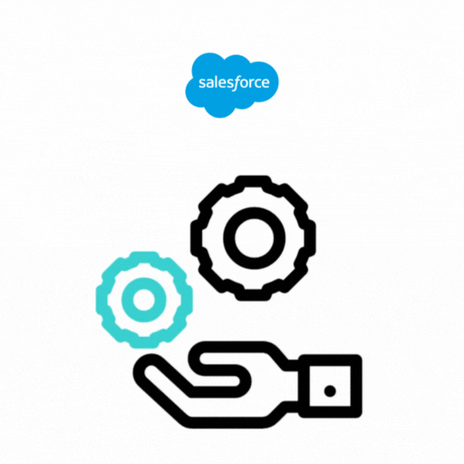 Salesforce Implementation & Setup Services
