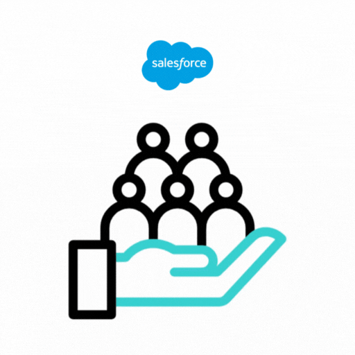 Salesforce Custom Development & Customization Services