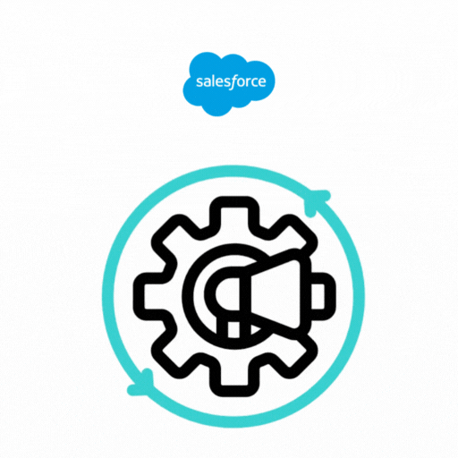 Salesforce Service Cloud Setup & Automation Services
