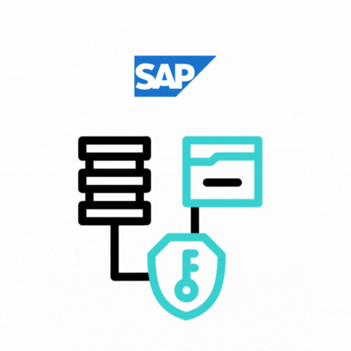 SAP Security, Access Management & Compliance Services