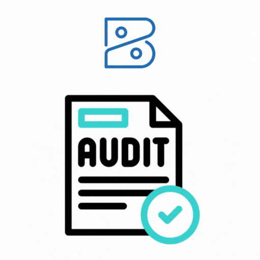 Zoho Books Audit & Reconciliation Services