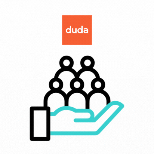 Duda Custom Widget Development Services