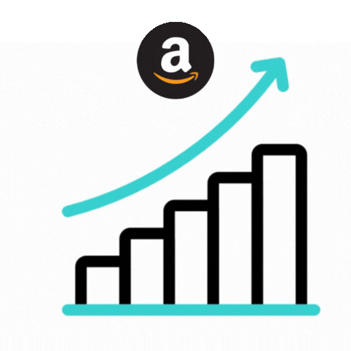 Amazon Product Launch & Ranking Services