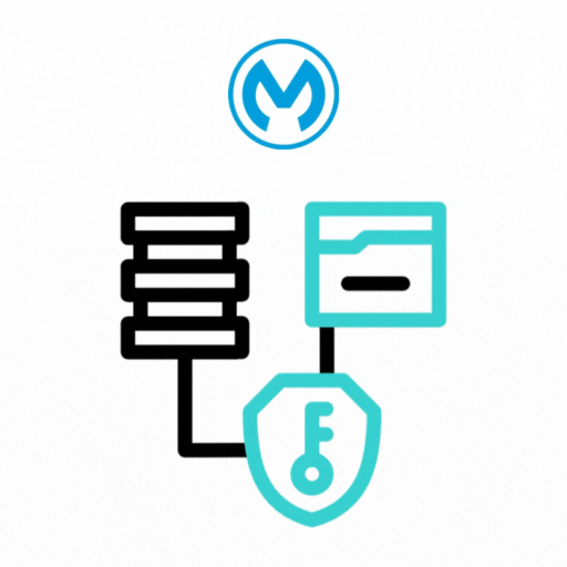 MuleSoft API Governance & Security Services