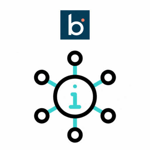 Boomi Integration Development & Implementation Services