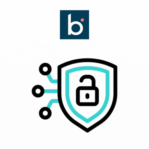 Boomi Master Data Hub Setup & Management Services