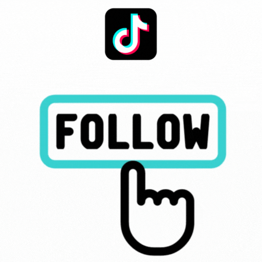 TikTok Followers Boost Service