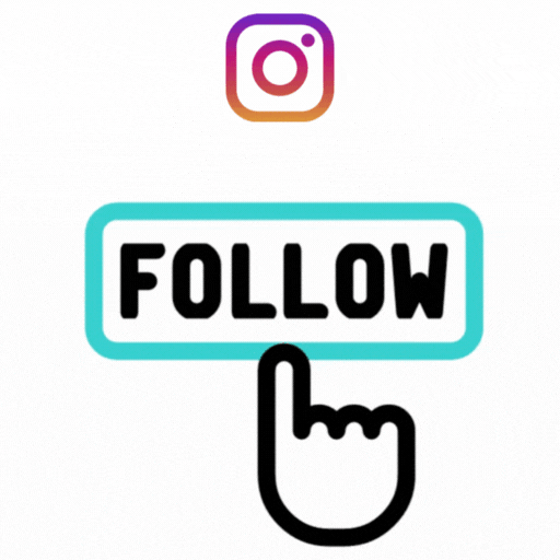 Instagram Followers Boost Service