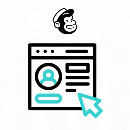 Mailchimp Ecommerce Website