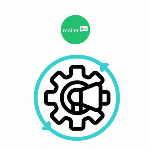 MailerLite Automation & Workflow Setup Services