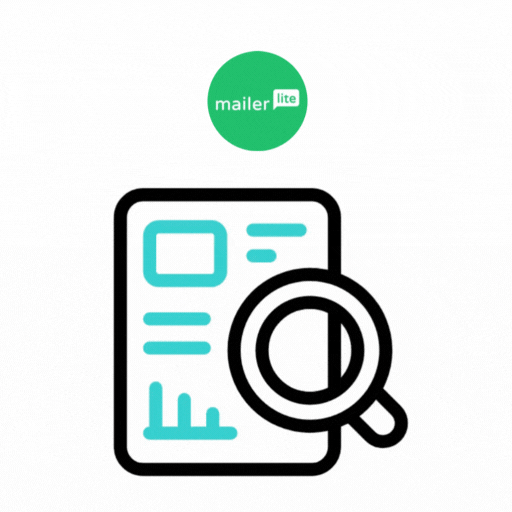 MailerLite Reporting & Optimization Services
