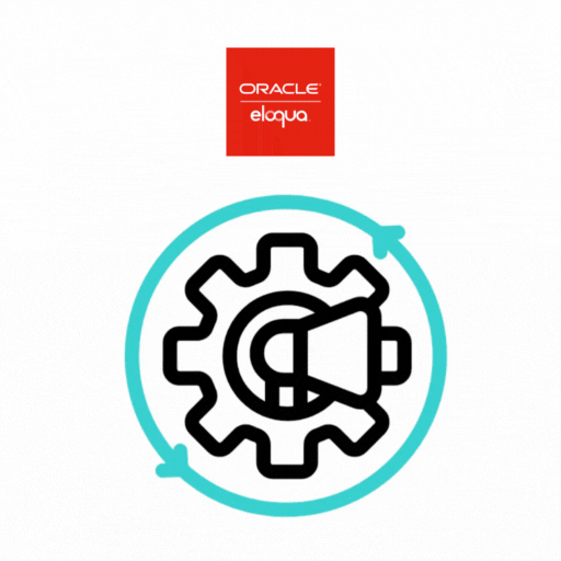 Oracle Eloqua Automation & Workflow Setup