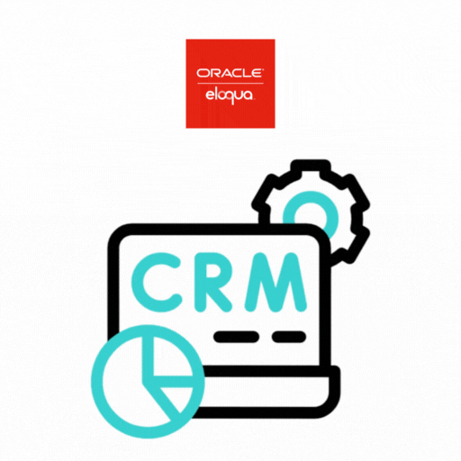 Oracle Eloqua CRM Integration Services