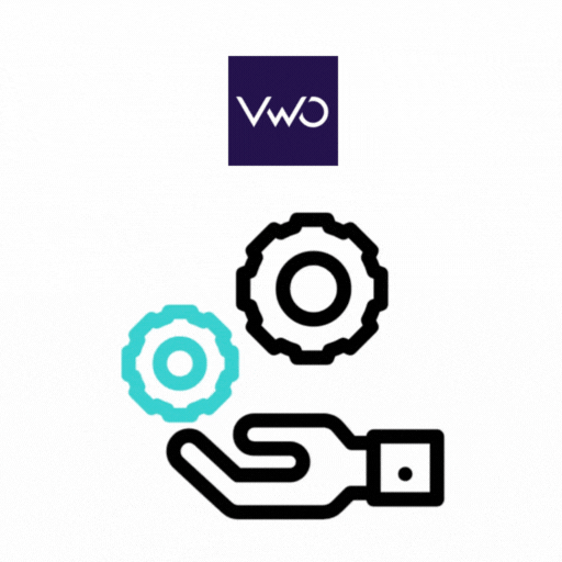 VWO Setup & Implementation Services