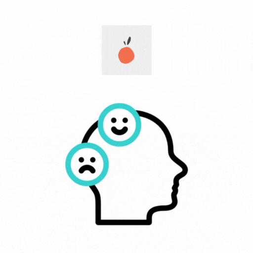 Lucky Orange Heatmap & User Behavior Analysis Services