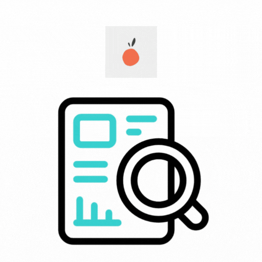 Lucky Orange Website Audit