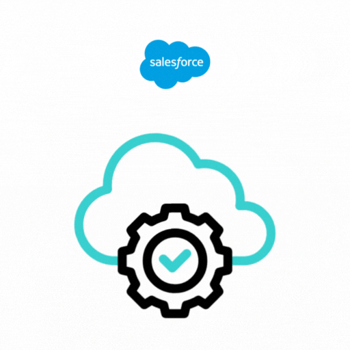 Sales Cloud Setup & Optimization Services
