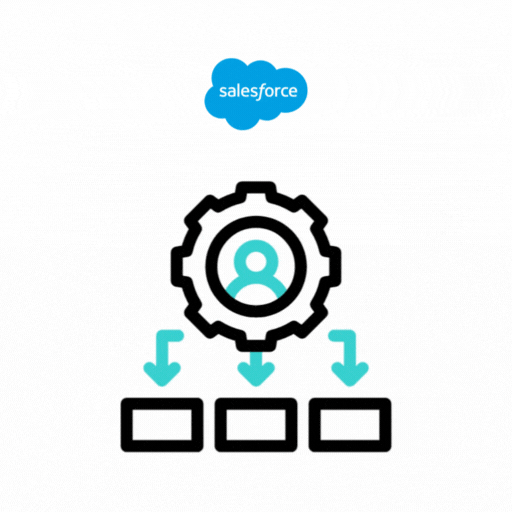 Salesforce Admin Support & Ongoing CRM Management Services