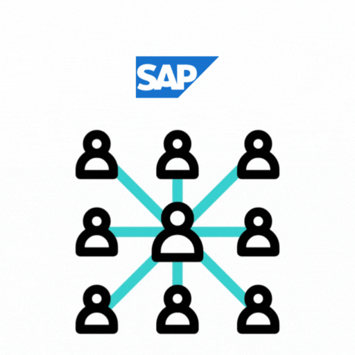 SAP Integration & System Connectivity Services