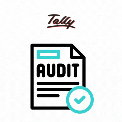 Tally Audit & Reconciliation Services