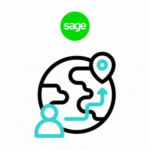 Sage Accounting Data Migration Services
