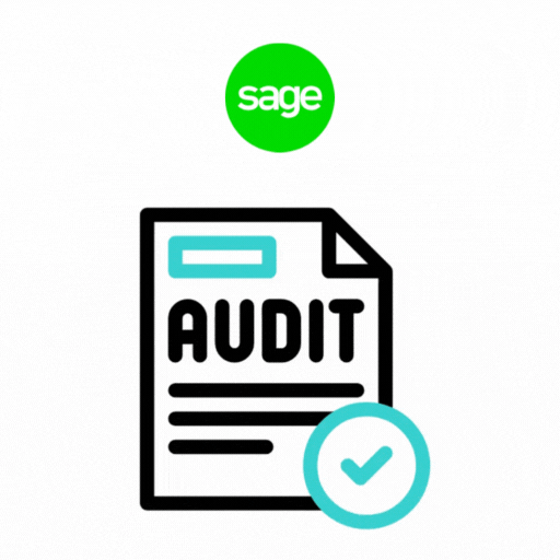 Sage Accounting Audit & Reconciliation Services