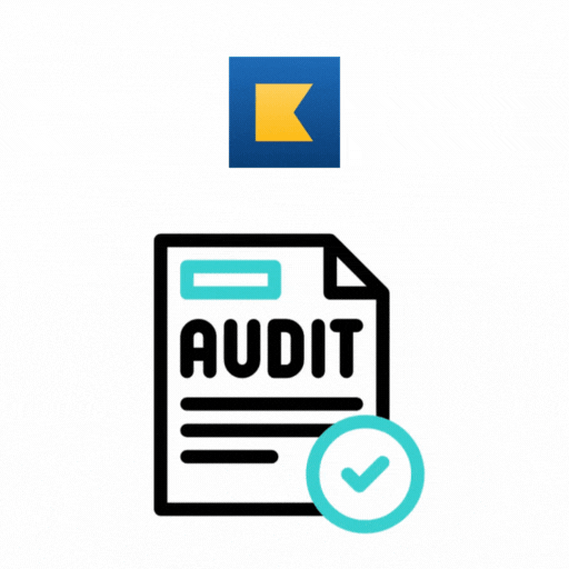 Kashoo Reconciliation & Audit Cleanup Services
