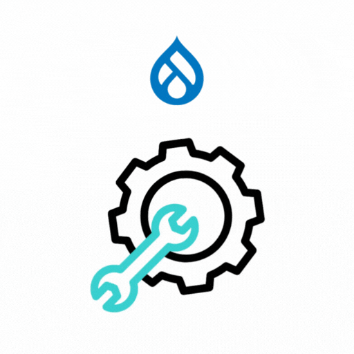 Drupal Custom Module Development Services