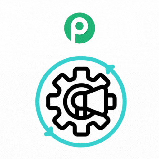 Pabbly Workflow Optimization & Automation Audit Services